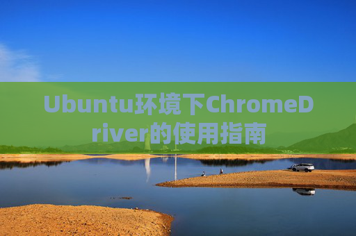Ubuntu环境下ChromeDriver的使用指南